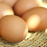あの食材が今旬だったの！？シリーズ①たまご編